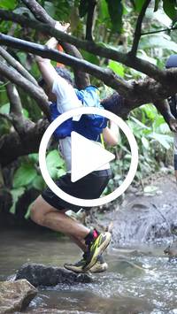 BIB:  <button type="button" onclick="openModal(27808968)" class="btn btn-primary btn-sm float-right" data-toggle="modal" data-target=".modal-high-quality">
                <i class="fa fa-download"></i> Download
                </button>